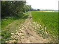 Way to Claxby Moor