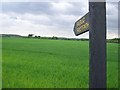 Public Footpath near Kelvedon