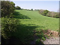 Field beside River Lyd