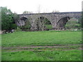 Old Branch Line Viaduct