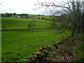 View across the valley, Merkland Burn in the hollow