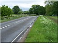 Road over stream