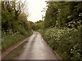 Lodge Road, leading to Little Clacton Lodge