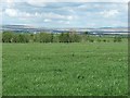 View towards Airds Moss