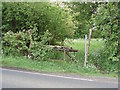 Start of Bridleway southwards past Shortgrove Wood