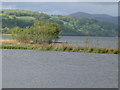 Llyn Tegid