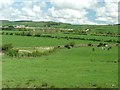 Looking across the Upper Nith Valley.