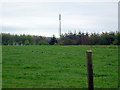 NJ8849 : Radio mast at Fedderate by Les Harvey