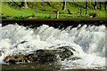 Weir, Waterfoot Village