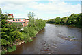 Looking downstream on the River Mourne at Victoria Bridge.