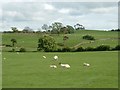 SD6180 : View of Gildard Hill from footpath nearby Underley Grange by Lynne Jewitt