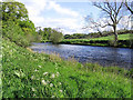 The River Annan