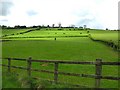 Mulderg Townland