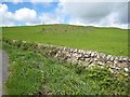 Rocky outcrops in a field near High Baltersan