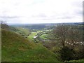 River Swale, Whitcliffe Wood to the left