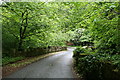 Y Bont Newydd ( The New Bridge ) Nant.