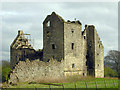 NS8384 : Torwood Castle ruin April 2007 by Nigel J C Turnbull