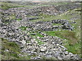 Old Workings, Musbury Heights Quarry