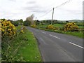 Road at Gilkey Hill