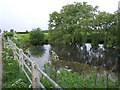 Pond beside Salhouse Road