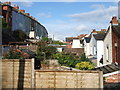 Back gardens in Teignmouth