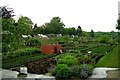 Allotments - Carr Road, Calverley