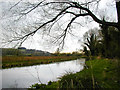 River Itchen near St Cross