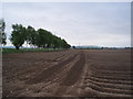 Recently ploughed field.