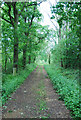 Ferndown, Stour and Forest Trail