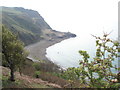 Coastal wood and Penrhyn Glas