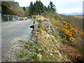 Collapsed road at Rhiw