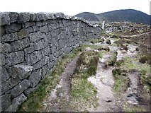 J3228 : The Mourne Wall by Oliver Dixon
