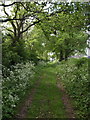 Bridleway at Heathfield Farm