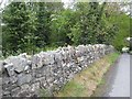 J4952 : Wall at Ballytrim House by Oliver Dixon
