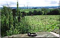 Iron Mooring Ring at Shotwick Churchyard