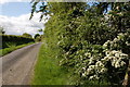 The Listullyard Road near Banbridge