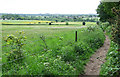 Bridleway and Fields, Palmer