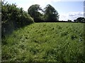 View across field to the west