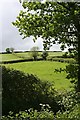 Farmland near Whiteford Farm