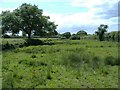 Bridleway, Stoke Common