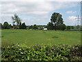 Pasture with track to Redfield community