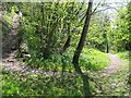 Footpath on Castlebergh