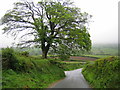 Dartmoor: Stone Cross