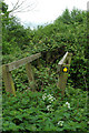 TL3247 : Unusable footbridge by Adrian Perkins