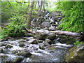 Dartmoor: Becky Falls