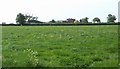 Grazing Land below Leasowes Farm