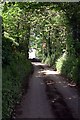 Country Road near Poundfield