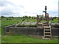 Brine well pipe chamber and dairy cattle