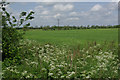 Farmland east of Middleton Stoney