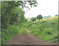 Track NW of Lough Pool